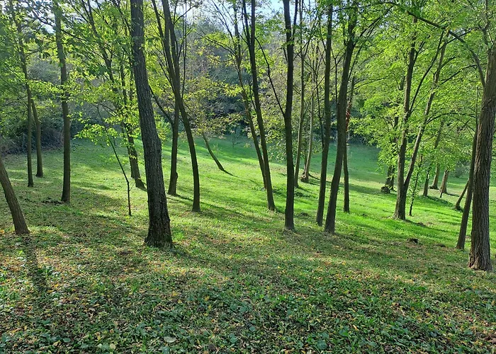 Rozsakert Apartman