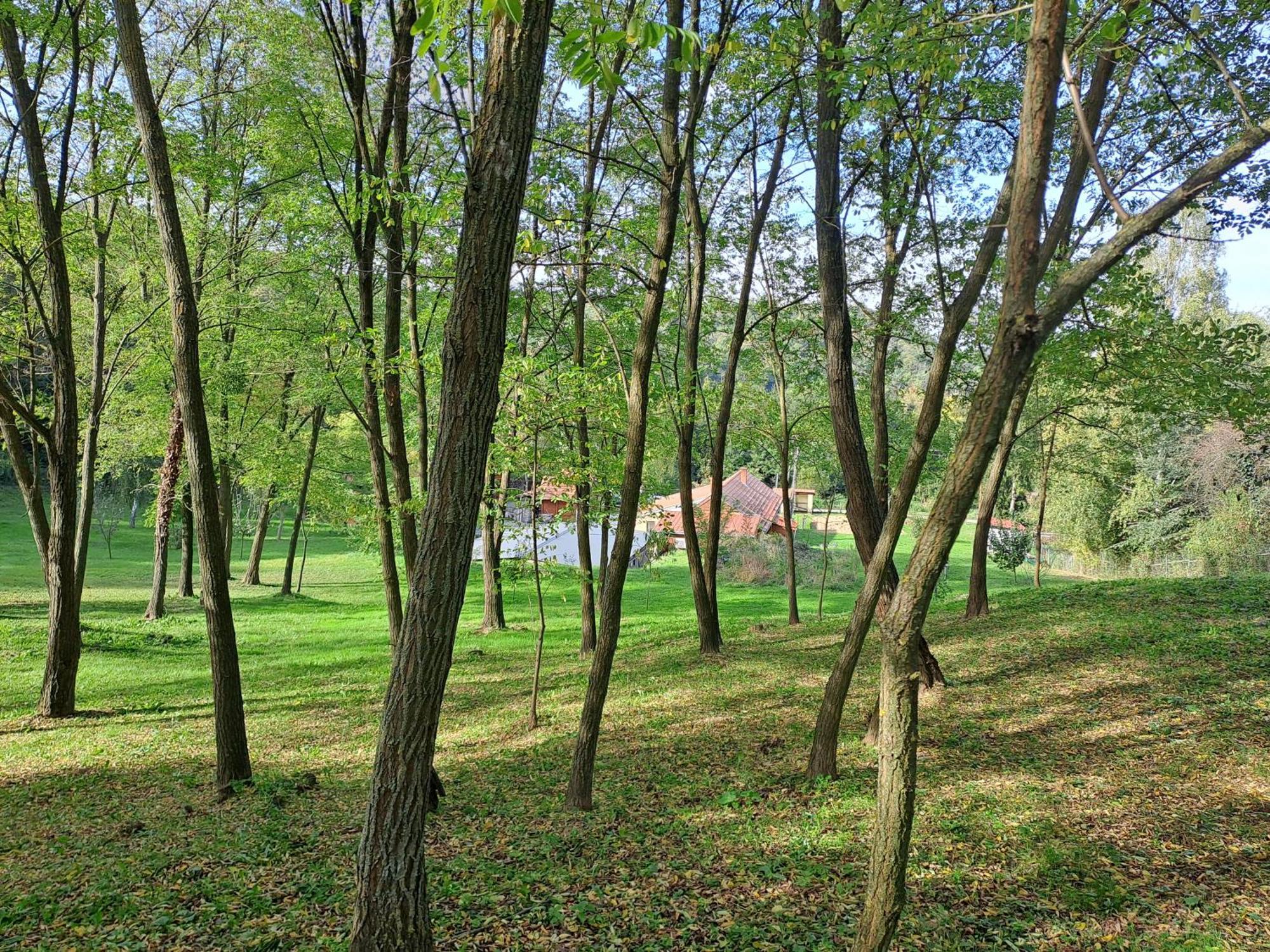 Appartement Rozsakert